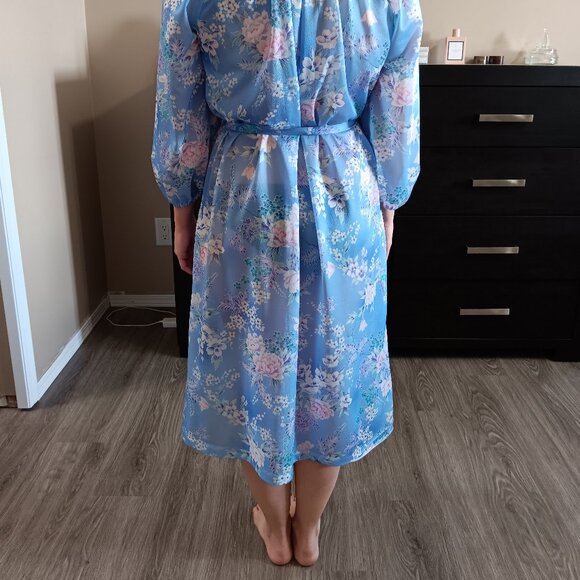 Vintage Sheer Blue Floral Dress Peter Pan Collar Button Up Neck Matching Belt - Picture 4 of 7